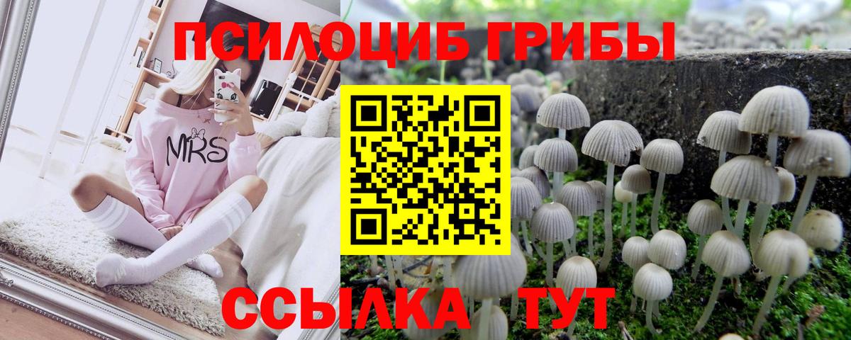 Псилоцибиновые грибы мухоморы  Вход с VPN  Карпинск 